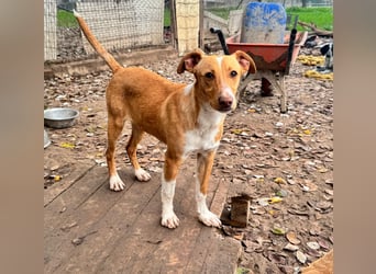 Natalio - freundlich und menschenbezogen