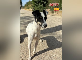 Patty - unkompliziert und sozial