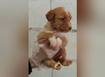 Carlos, bringt gute Laune ins neue Heim