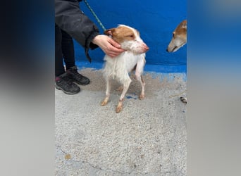 Black, hatte keine schöne Vergangenheit