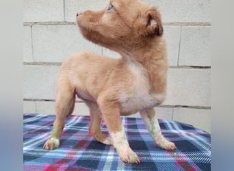 Bianca, kleines Mädchen sucht ihr Glück