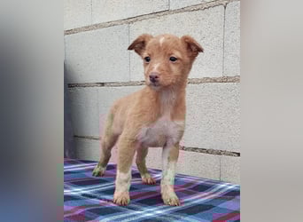 Bianca, kleines Mädchen sucht ihr Glück