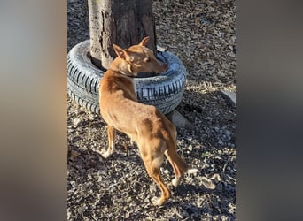 April, vorsichtig und noch schüchtern