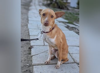 April, vorsichtig und noch schüchtern