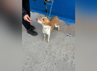 Nayra, freundlich und menschenbezogen