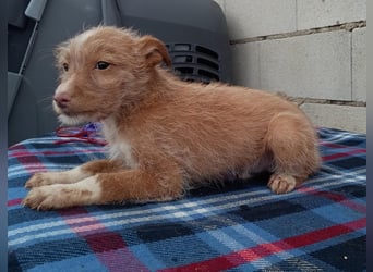 Carlos, bringt gute Laune ins neue Heim