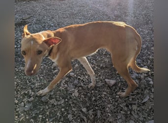 April, vorsichtig und noch schüchtern