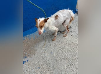 Black, hatte keine schöne Vergangenheit