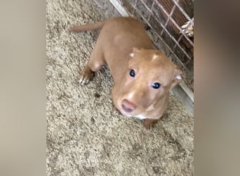 Okal - kleine Entdeckerin auf dem Weg ins Glück