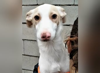 Matias, ein zarter Podi Bube