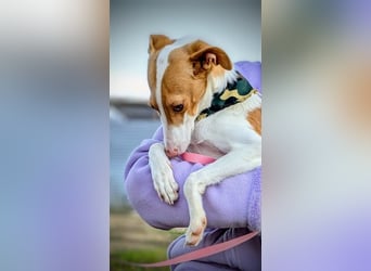 Casillas, verschmust und absolut liebenswert