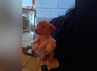 Bianca, bereit fürs Familienleben