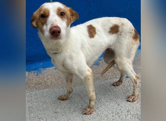 Chira, wo darf sie ihren Platz finden ?