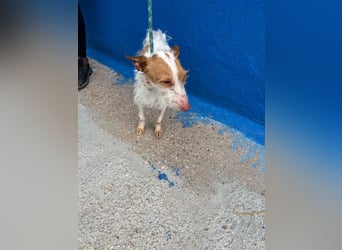 Black, hatte keine schöne Vergangenheit