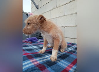 Carlos, bringt gute Laune ins neue Heim