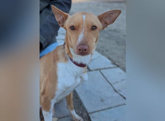 April, vorsichtig und noch schüchtern