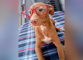 Okal - kleine Entdeckerin auf dem Weg ins Glück