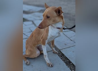 April, vorsichtig und noch schüchtern