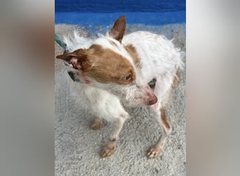 Black, hatte keine schöne Vergangenheit