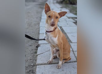 April, vorsichtig und noch schüchtern