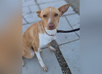 April, vorsichtig und noch schüchtern