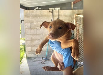 Okal - kleine Entdeckerin auf dem Weg ins Glück