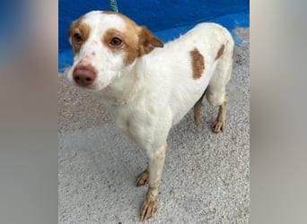 Chira, wo darf sie ihren Platz finden ?