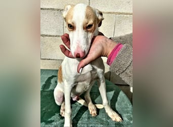 Matias, ein zarter Podi Bube