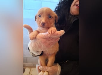 Carlos, gute Laune garantiert