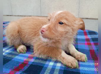 Carlos, bringt gute Laune ins neue Heim