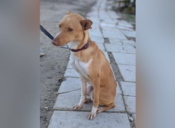 April, vorsichtig und noch schüchtern