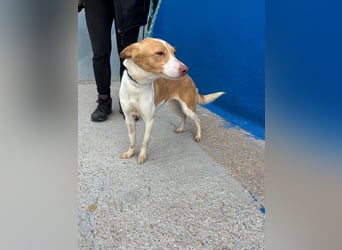 Nayra, freundlich und menschenbezogen