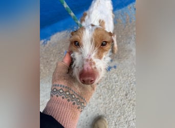 Black, hatte keine schöne Vergangenheit