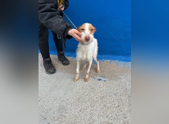 Black, hatte keine schöne Vergangenheit