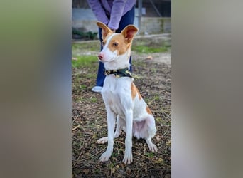 Casillas, verschmust und absolut liebenswert