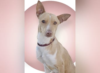 April, vorsichtig und noch schüchtern