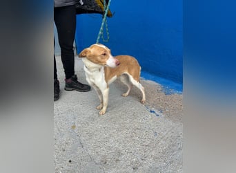 Nayra, freundlich und menschenbezogen