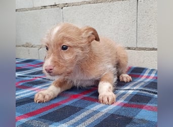 Carlos, bringt gute Laune ins neue Heim