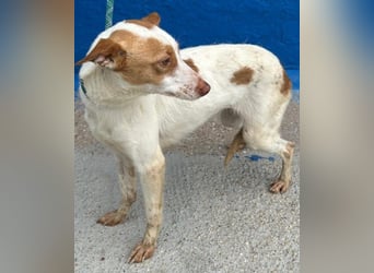 Chira, wo darf sie ihren Platz finden ?