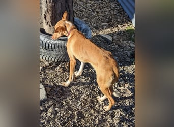 April, vorsichtig und noch schüchtern