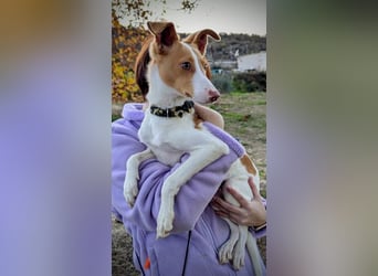 Casillas, verschmust und absolut liebenswert