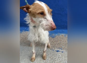 Black, hatte keine schöne Vergangenheit