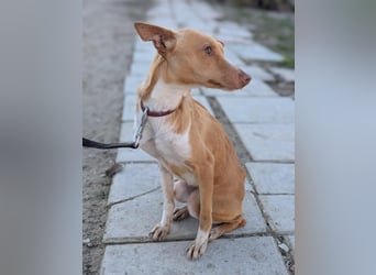 April, vorsichtig und noch schüchtern