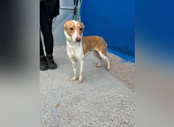 Nayra, freundlich und menschenbezogen