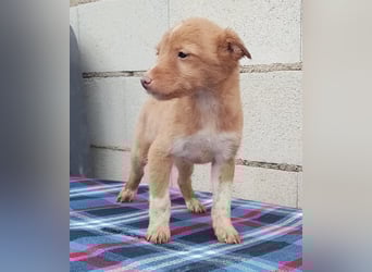 Bianca, kleines Mädchen sucht ihr Glück