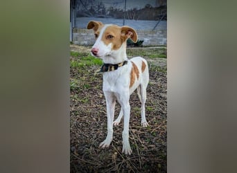 Casillas, verschmust und absolut liebenswert