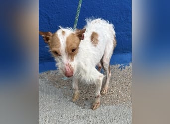 Black, hatte keine schöne Vergangenheit