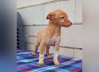 Bianca, kleines Mädchen sucht ihr Glück