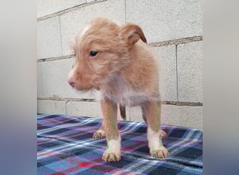 Carlos, bringt gute Laune ins neue Heim