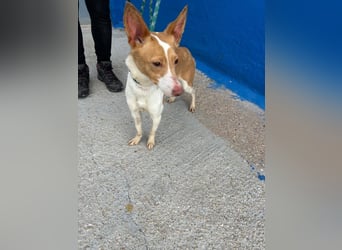 Nayra, freundlich und menschenbezogen